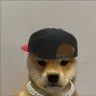 DOGE