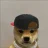 DOGE