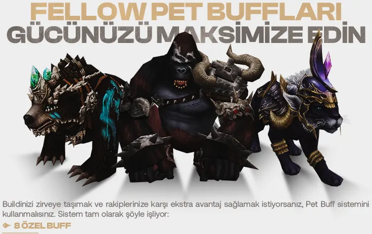 RvPxPlv.png