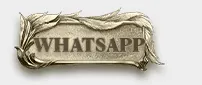 dde5ca051846e52c02fad56650f7017f5720bde4.webp